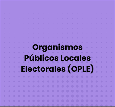 concepto-3